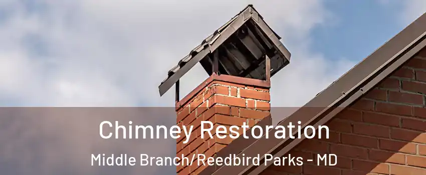 Chimney Restoration Middle Branch/Reedbird Parks - MD