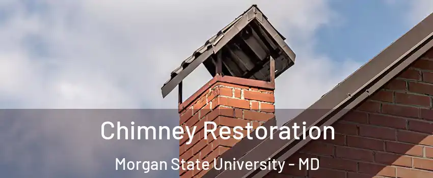 Chimney Restoration Morgan State University - MD