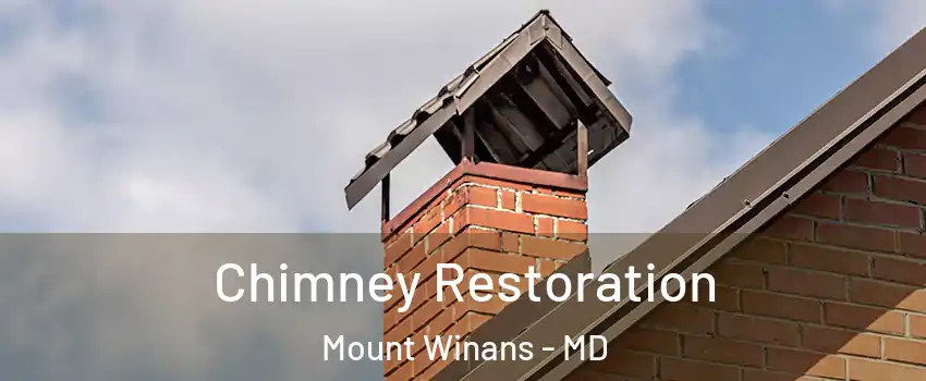 Chimney Restoration Mount Winans - MD