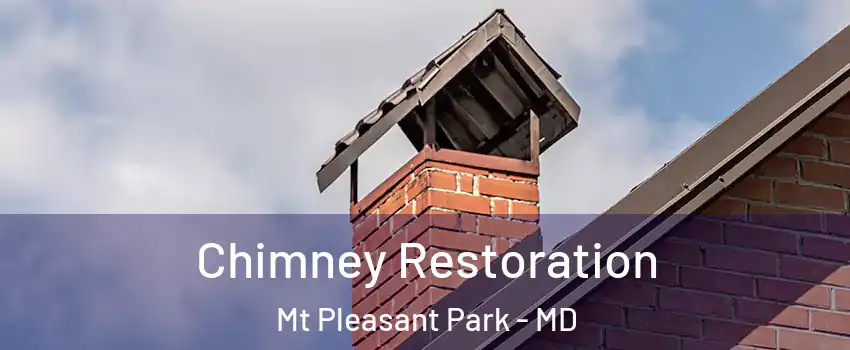 Chimney Restoration Mt Pleasant Park - MD