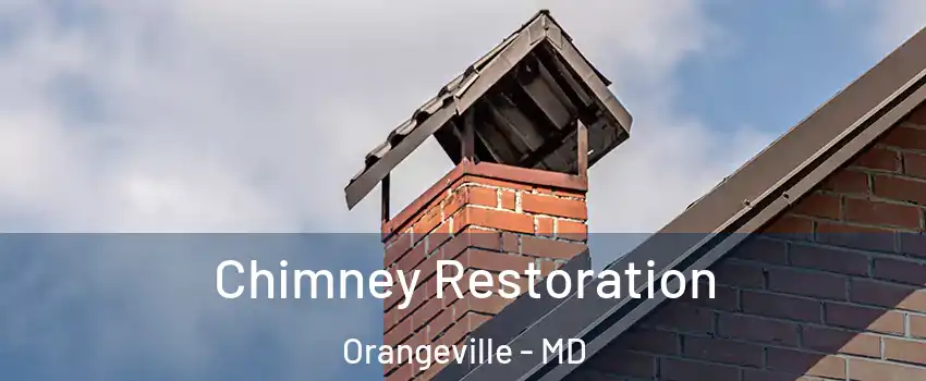 Chimney Restoration Orangeville - MD