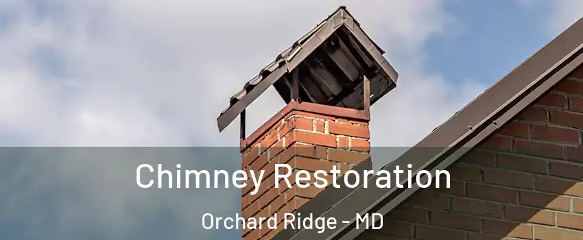 Chimney Restoration Orchard Ridge - MD