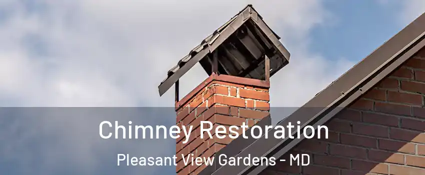 Chimney Restoration Pleasant View Gardens - MD