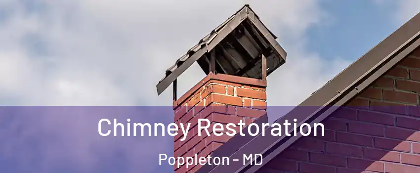 Chimney Restoration Poppleton - MD