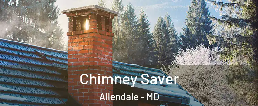 Chimney Saver Allendale - MD