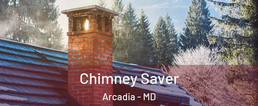 Chimney Saver Arcadia - MD