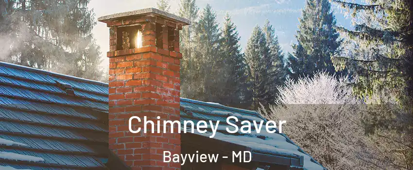 Chimney Saver Bayview - MD