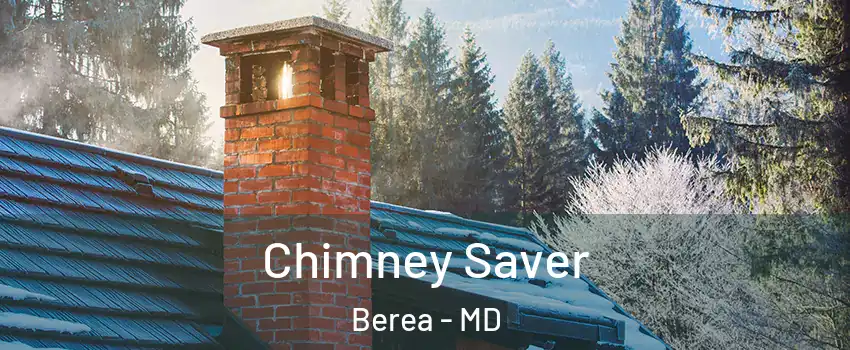Chimney Saver Berea - MD