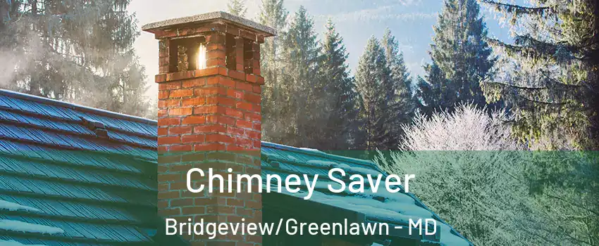 Chimney Saver Bridgeview/Greenlawn - MD