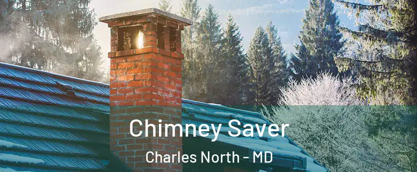 Chimney Saver Charles North - MD