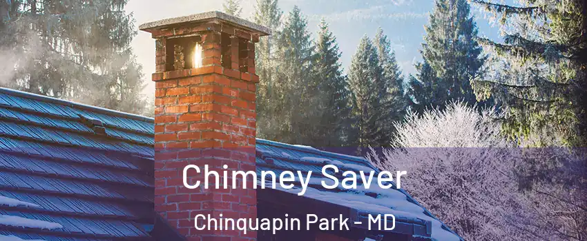 Chimney Saver Chinquapin Park - MD