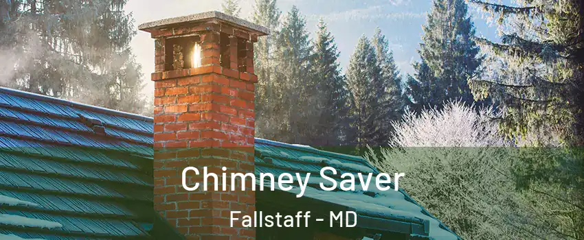 Chimney Saver Fallstaff - MD