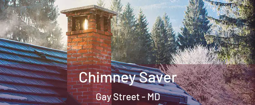 Chimney Saver Gay Street - MD