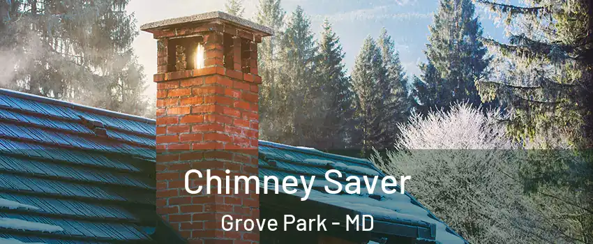 Chimney Saver Grove Park - MD
