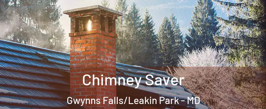 Chimney Saver Gwynns Falls/Leakin Park - MD