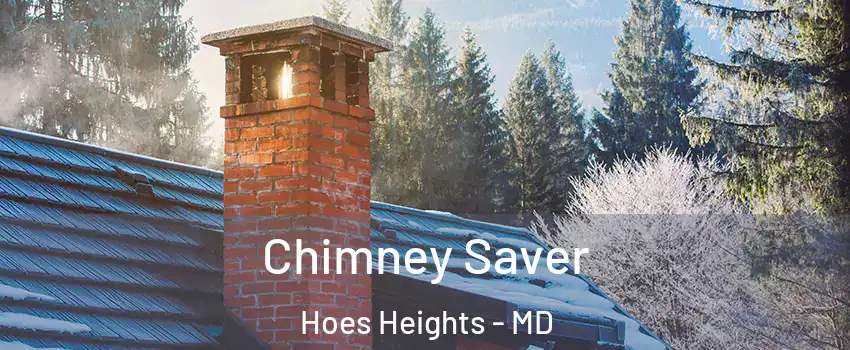 Chimney Saver Hoes Heights - MD