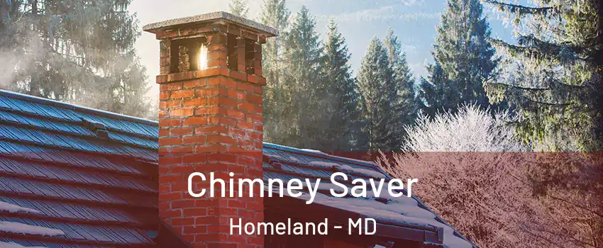 Chimney Saver Homeland - MD