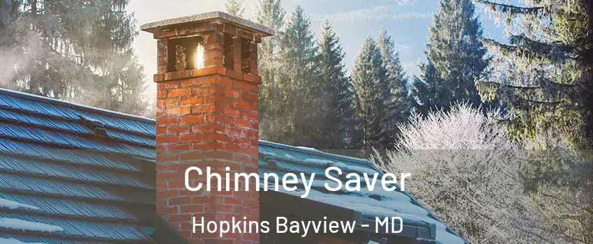 Chimney Saver Hopkins Bayview - MD