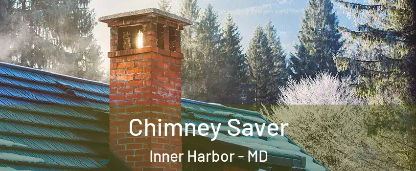 Chimney Saver Inner Harbor - MD