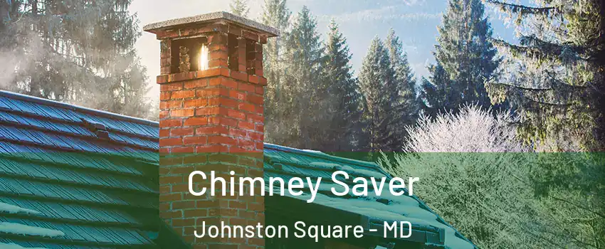 Chimney Saver Johnston Square - MD