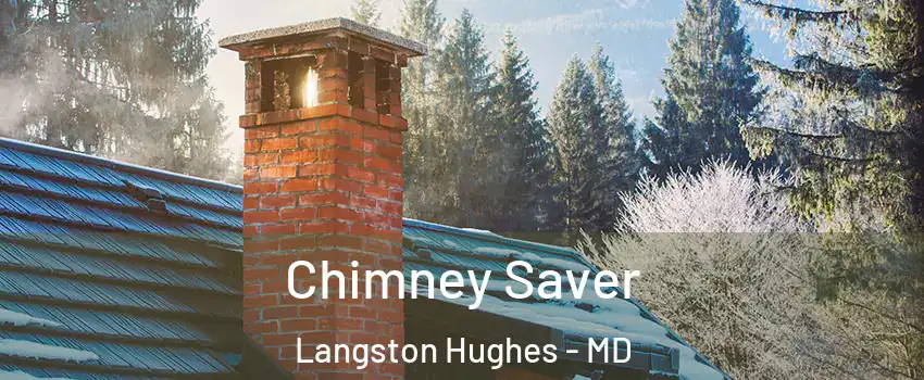 Chimney Saver Langston Hughes - MD