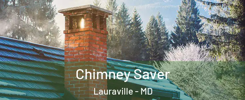 Chimney Saver Lauraville - MD