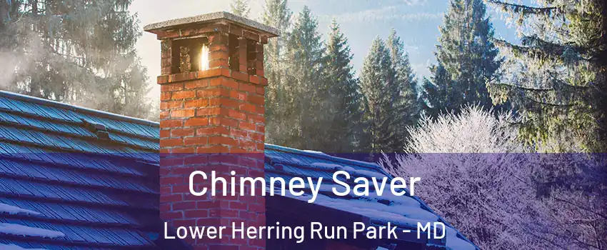 Chimney Saver Lower Herring Run Park - MD