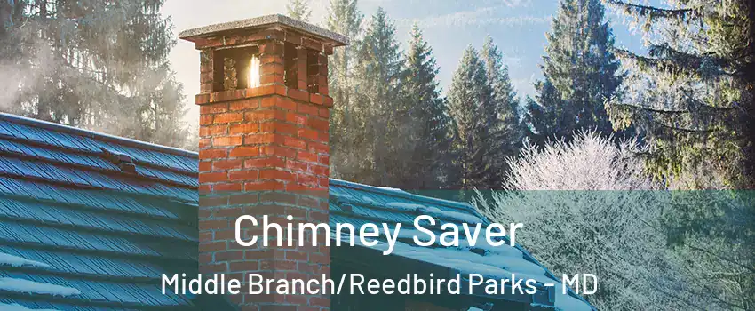 Chimney Saver Middle Branch/Reedbird Parks - MD