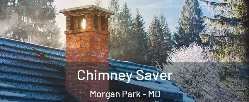Chimney Saver Morgan Park - MD