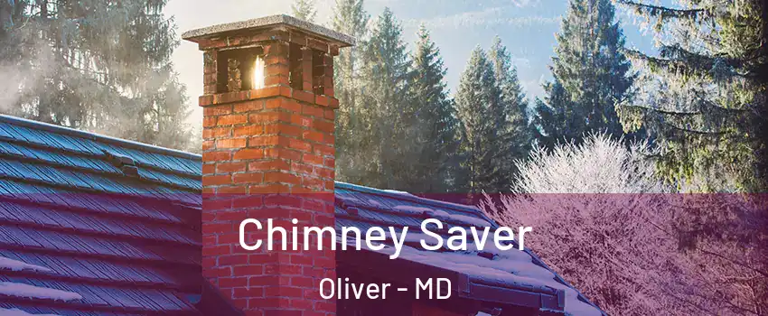 Chimney Saver Oliver - MD