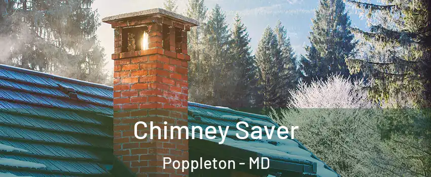 Chimney Saver Poppleton - MD