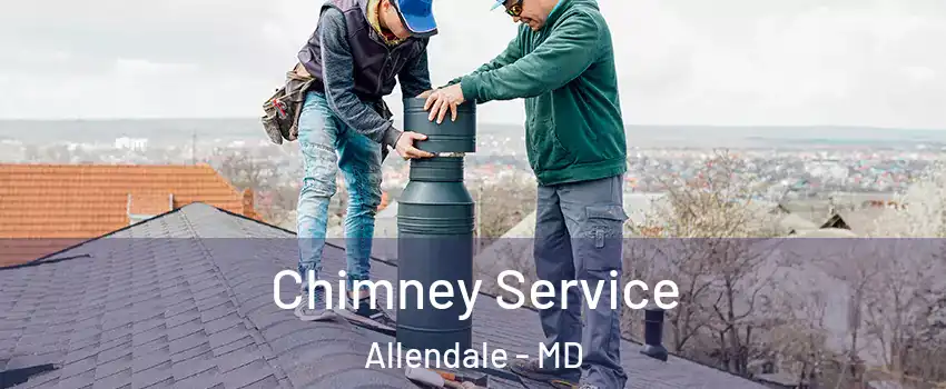 Chimney Service Allendale - MD