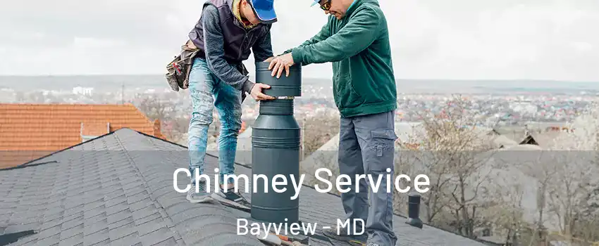 Chimney Service Bayview - MD