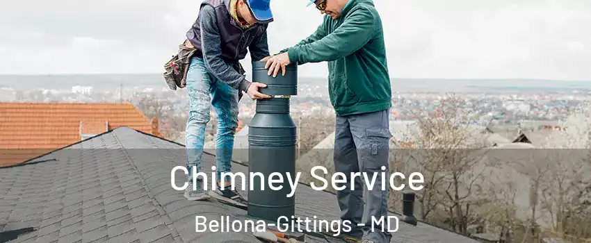 Chimney Service Bellona-Gittings - MD