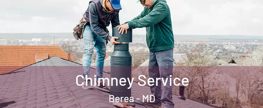 Chimney Service Berea - MD