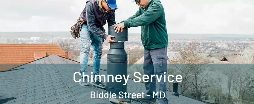 Chimney Service Biddle Street - MD