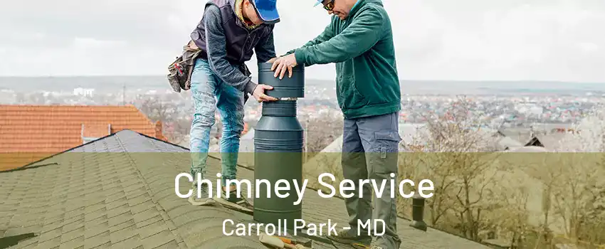 Chimney Service Carroll Park - MD