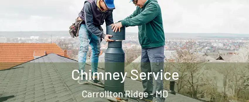 Chimney Service Carrollton Ridge - MD
