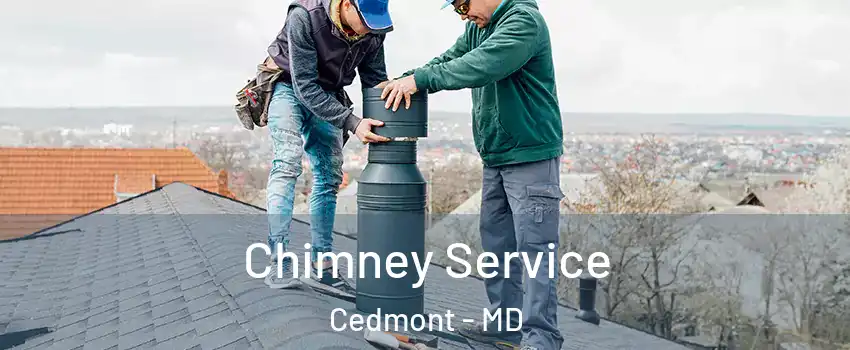 Chimney Service Cedmont - MD