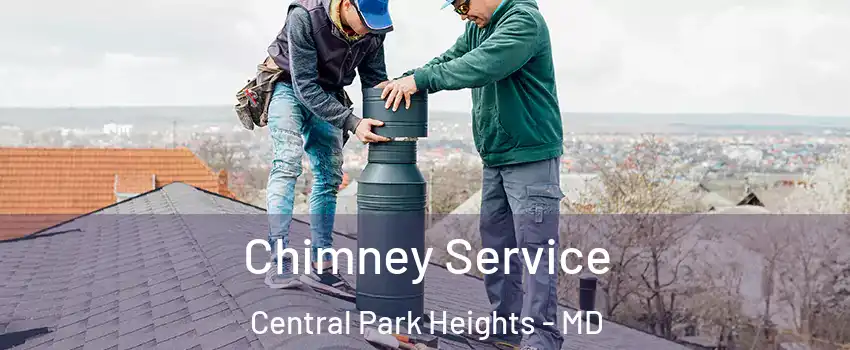 Chimney Service Central Park Heights - MD