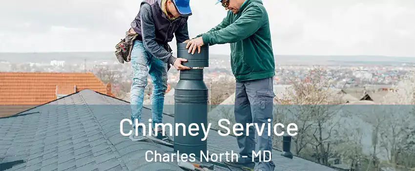 Chimney Service Charles North - MD