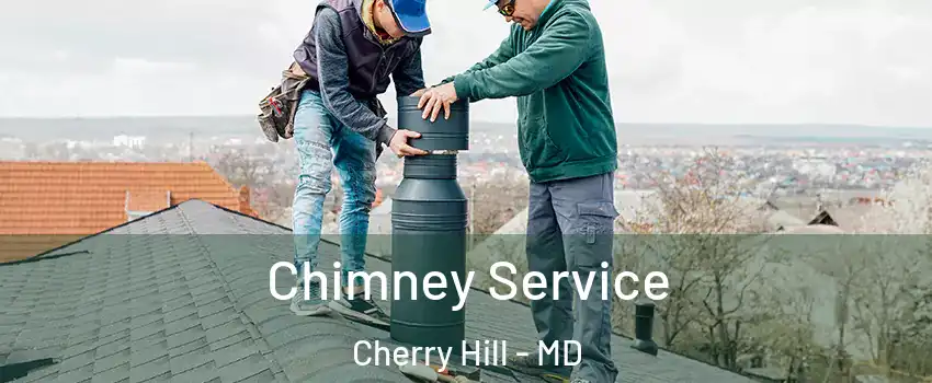 Chimney Service Cherry Hill - MD