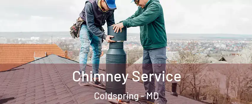 Chimney Service Coldspring - MD