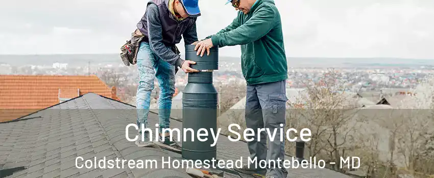 Chimney Service Coldstream Homestead Montebello - MD