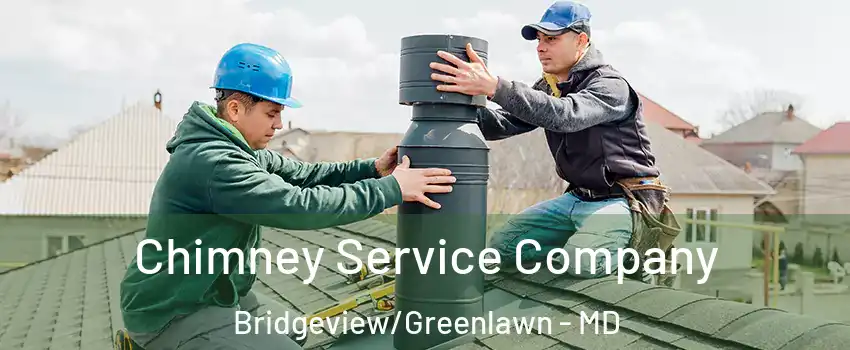 Chimney Service Company Bridgeview/Greenlawn - MD