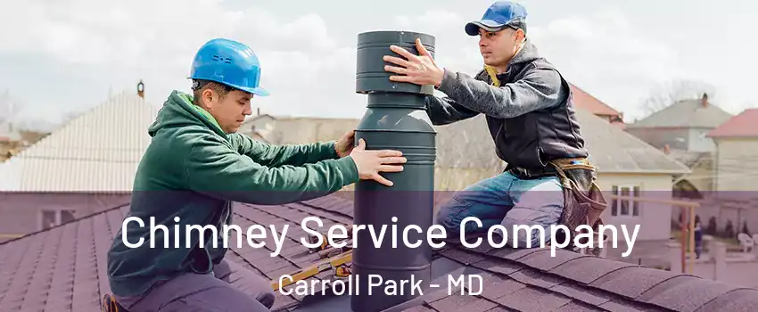 Chimney Service Company Carroll Park - MD