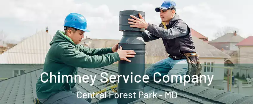 Chimney Service Company Central Forest Park - MD