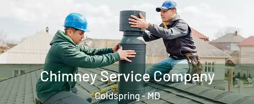 Chimney Service Company Coldspring - MD