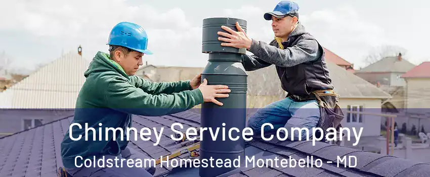 Chimney Service Company Coldstream Homestead Montebello - MD