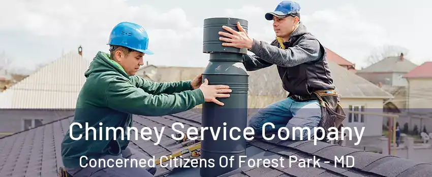 Chimney Service Company Concerned Citizens Of Forest Park - MD